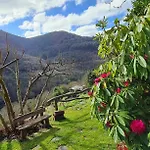Rurales El Bosque De Vinas *