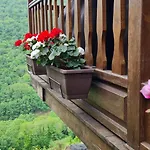 Rurales El Bosque De Vinas Апартаменты *