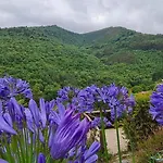 Rurales El Bosque De Vinas
