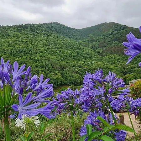 Rurales El Bosque De Vinas