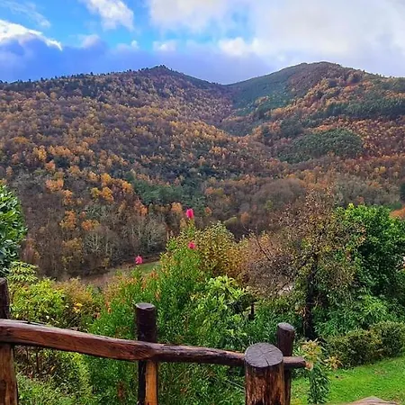 Rurales El Bosque De Vinas Boal