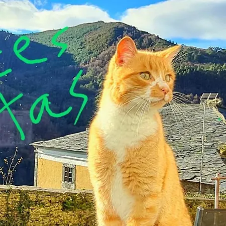 Rurales El Bosque De Vinas