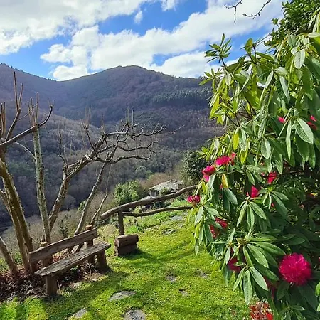Rurales El Bosque De Vinas *