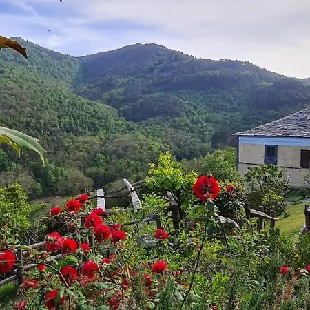 Rurales El Bosque De Vinas