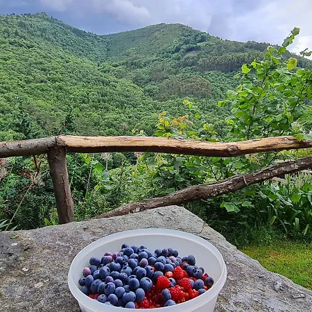 Rurales El Bosque De Vinas Appartement *