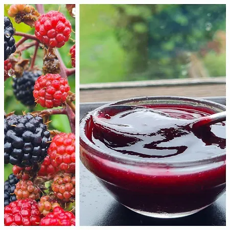 Rurales El Bosque De Vinas Appartement *