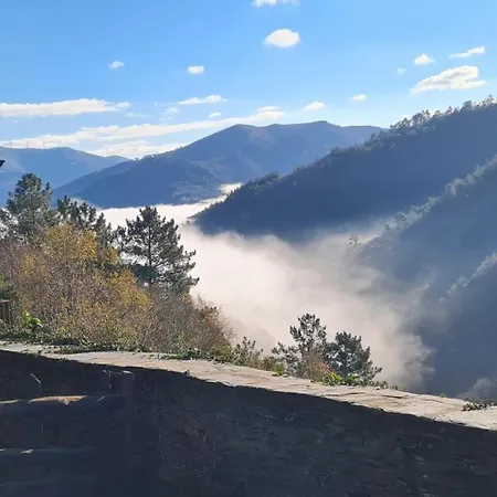 Rurales El Bosque De Vinas Boal