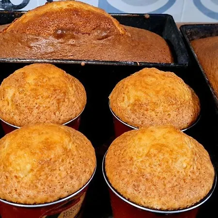 Rurales El Bosque De Vinas *