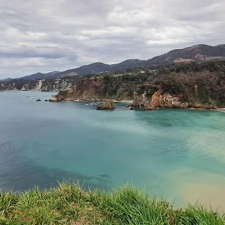 Rurales El Bosque De Vinas