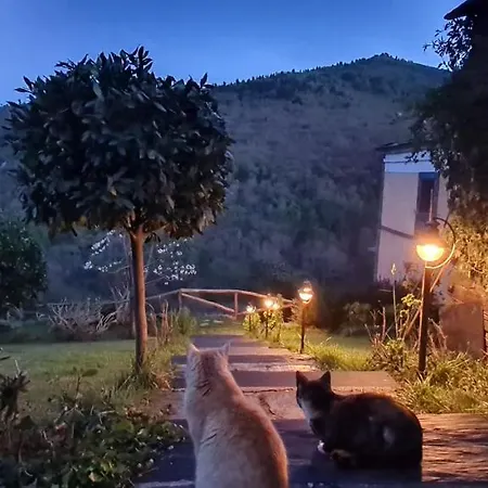 Rurales El Bosque De Vinas Appartement