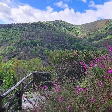 Apartament Rurales El Bosque De Vinas