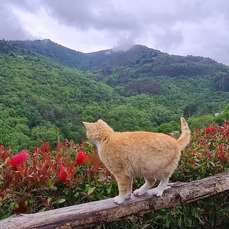 Rurales El Bosque De Vinas Boal