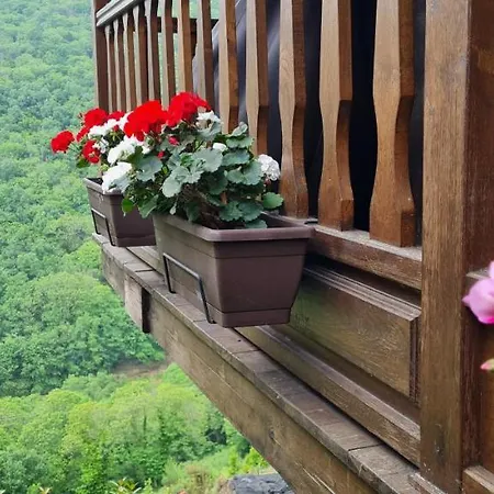 Rurales El Bosque De Vinas Apartament *