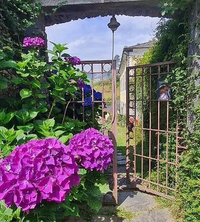 Rurales El Bosque De Vinas *