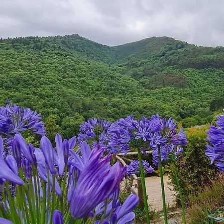 Rurales El Bosque De Vinas
