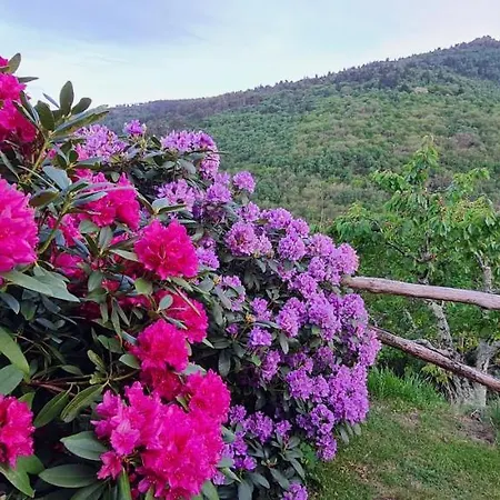 Rurales El Bosque De Vinas アパート