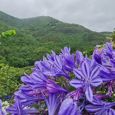 Rurales El Bosque De Vinas Boal