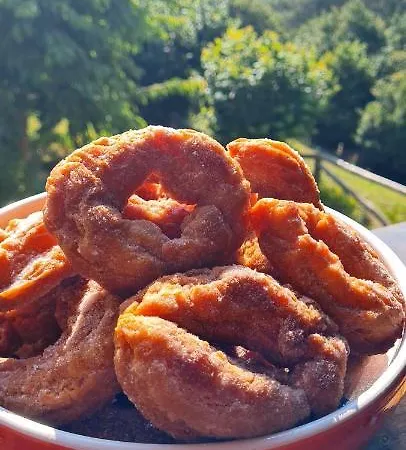 Lägenhet Rurales El Bosque De Vinas