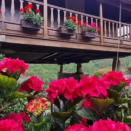 Rurales El Bosque De Vinas Boal