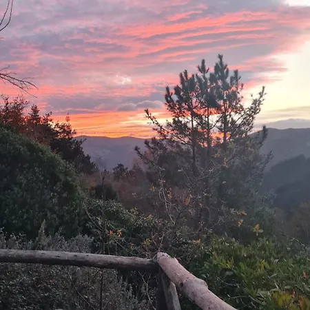 Rurales El Bosque De Vinas Lägenhet
