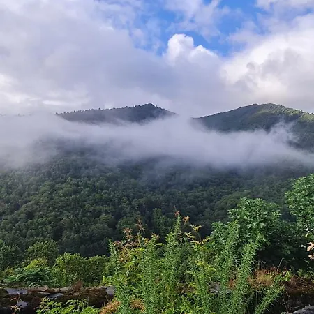 Rurales El Bosque De Vinas * Boal