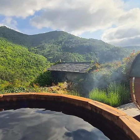 Rurales El Bosque De Vinas