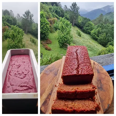 Rurales El Bosque De Vinas