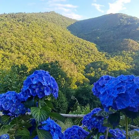 Rurales El Bosque De Vinas Lägenhet