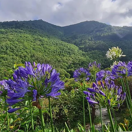 Rurales El Bosque De Vinas
