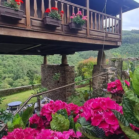 Rurales El Bosque De Vinas *