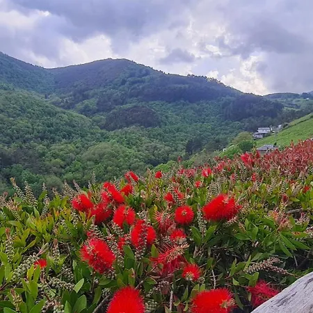 Rurales El Bosque De Vinas *