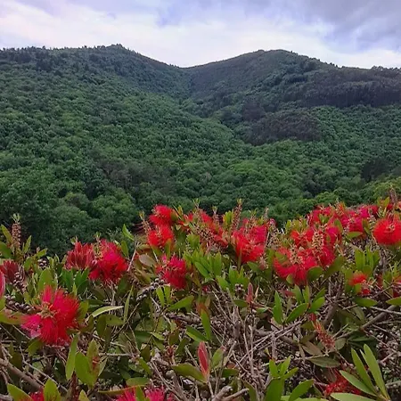 Rurales El Bosque De Vinas * Boal