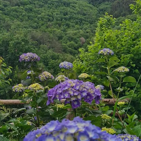 Rurales El Bosque De Vinas Appartement Boal