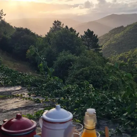 Rurales El Bosque De Vinas