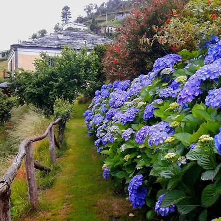 Rurales El Bosque De Vinas * Boal